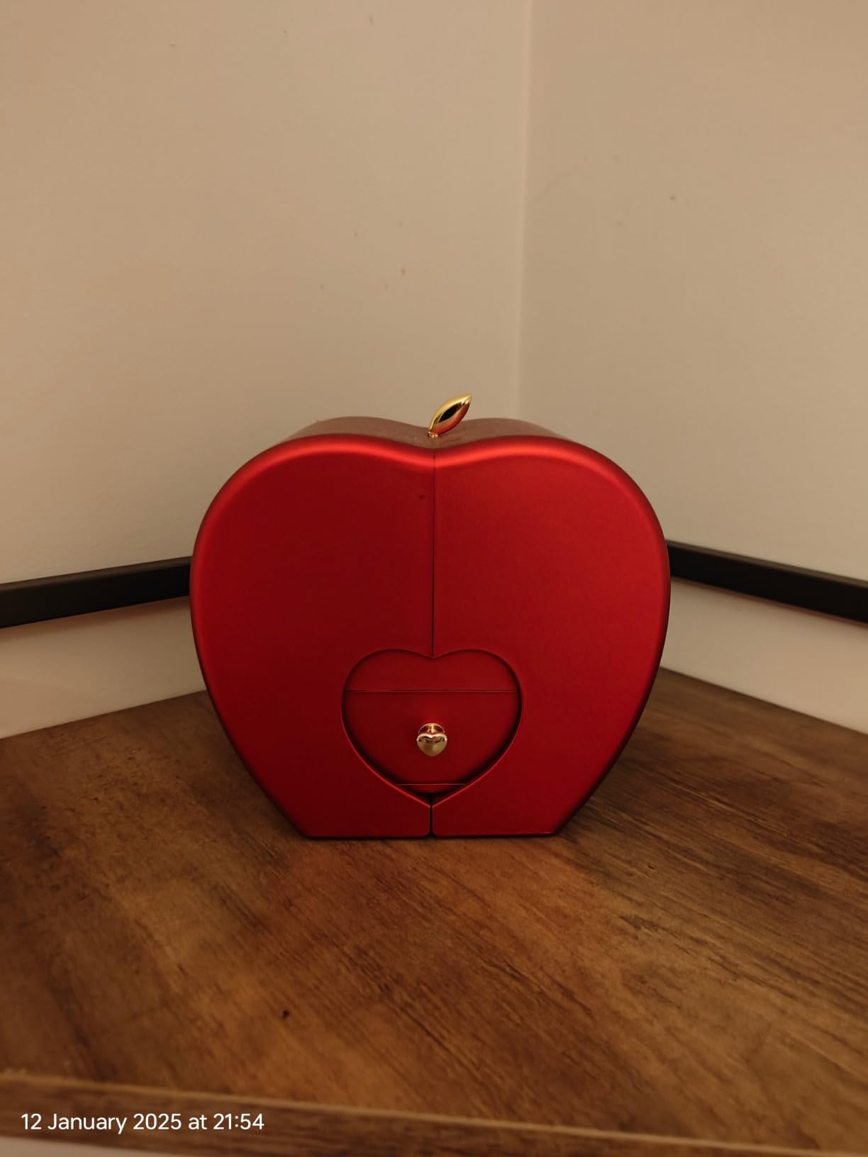 Caja de Rosa Eterna (Rosa Preservada) + REGALO Anillo Amor Eterno